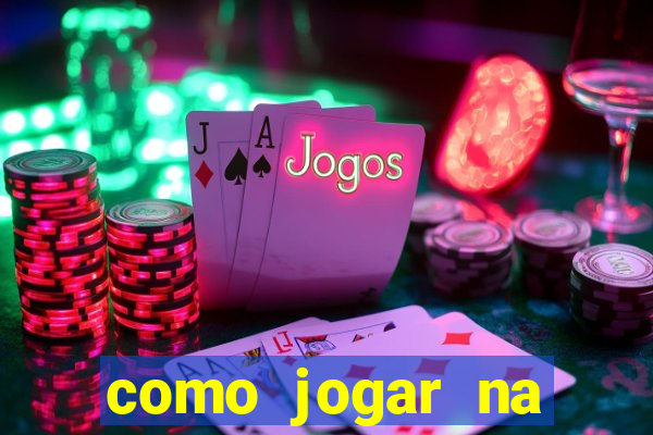 como jogar na seninha online